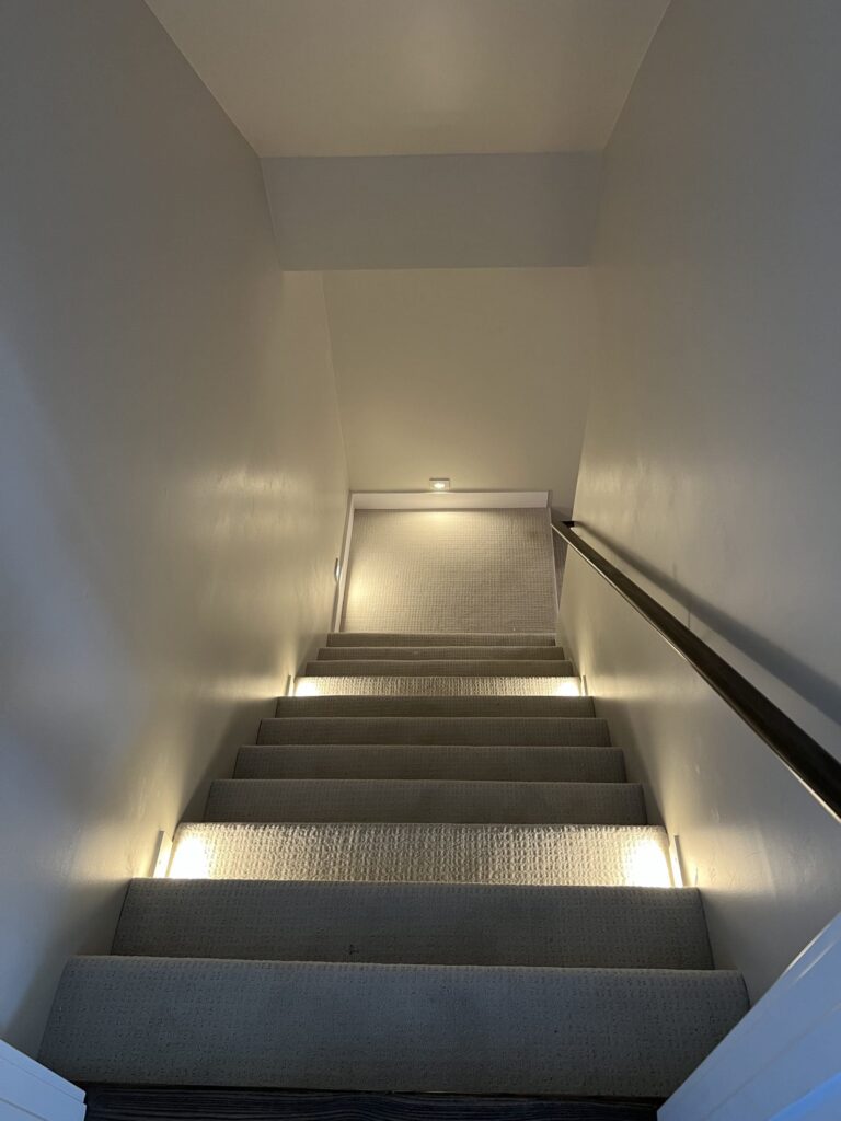 Carpeted basement stair with low wall lights washing each tread and a black handrail running down the wall