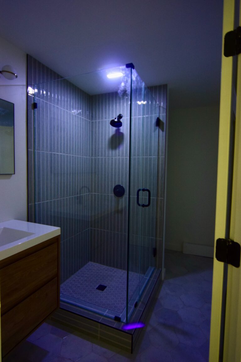 Walk-in shower with frameless glass and dark tile