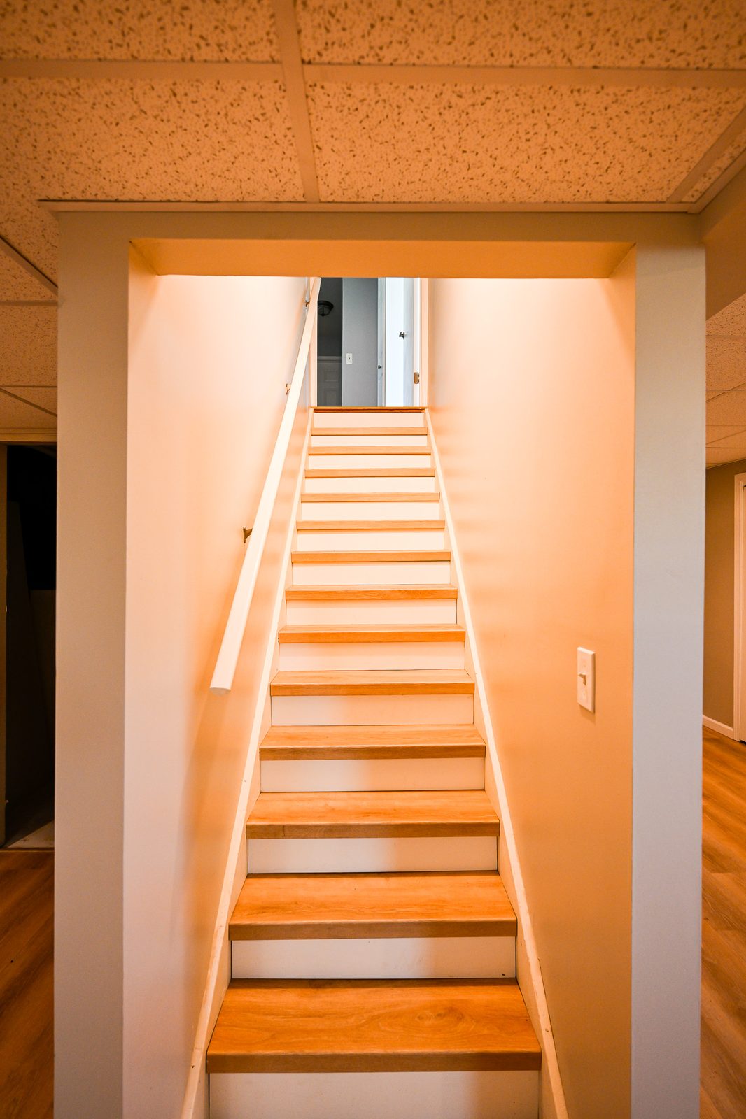 Basement staircase in Ypsilanti finished with matching vinyl plank treads and white risers
