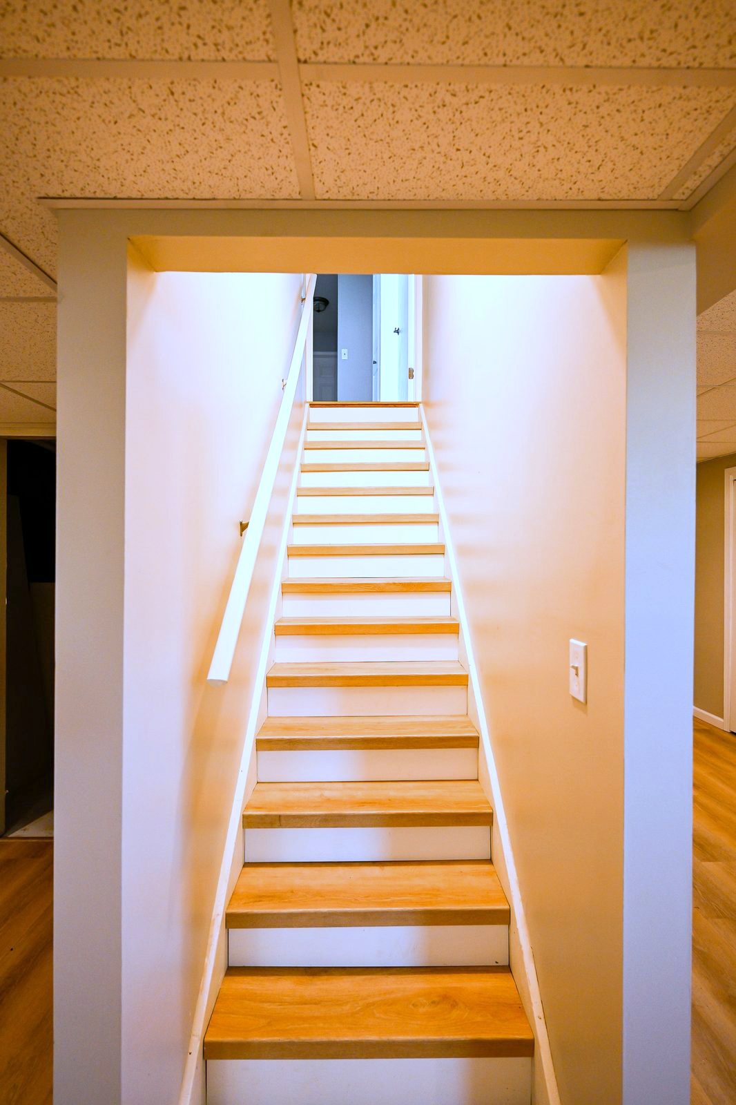Basement staircase in Ypsilanti finished with matching vinyl plank treads and white risers